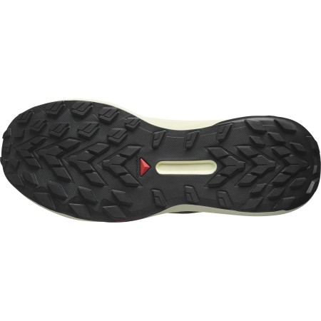 Salomon Genesis